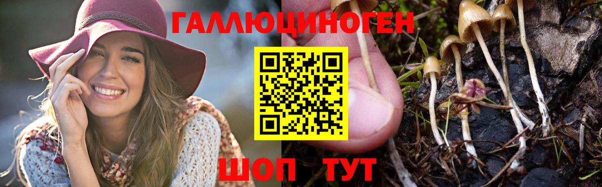 Галлюциногенные грибы GOLDEN TEACHER Белебей
